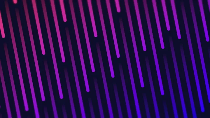 Redacted Bars 6
