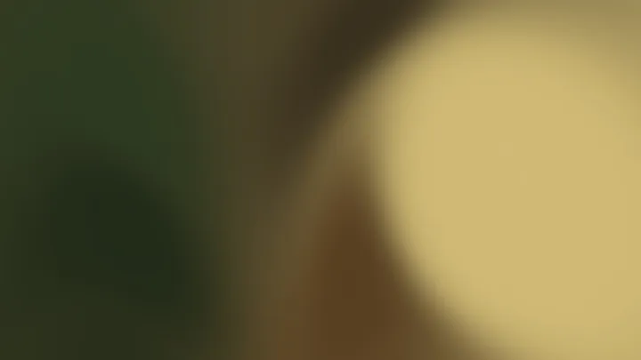 Rolling Shadows 8