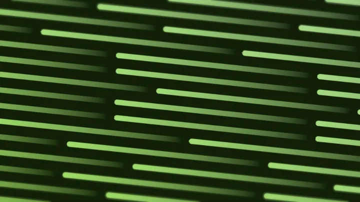 Redacted Bars 2