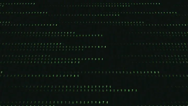 Enter The Matrix 2