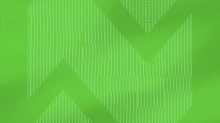 Geogrid 9