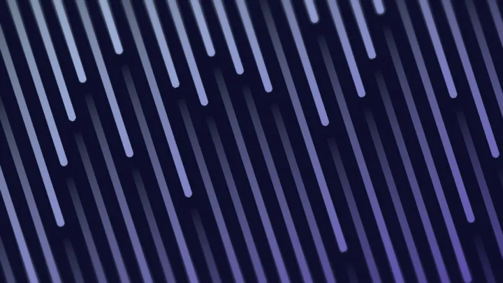 Redacted Bars 7