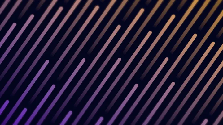 Redacted Bars 4