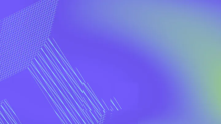 Geogrid 10